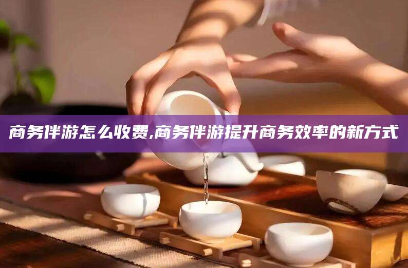 肇庆商务伴游怎么收费,商务伴游提升商务效率的新方式